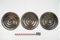 Foto von Bronzephalere (NHMW-PRAE-025641)